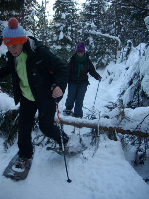 Kurz chůze na sněžnicích v Kořenově leden 2015