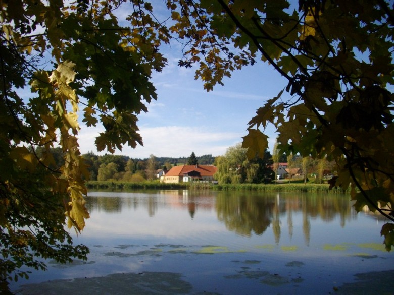Mozaika-tour