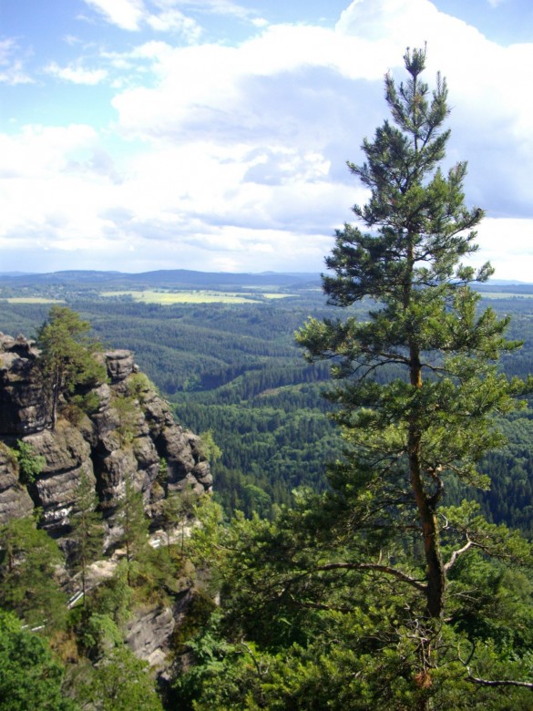 Rajsk&eacute; ostrovy (ZOO Děč&iacute;n) a Hřensko s O.K. Busem
