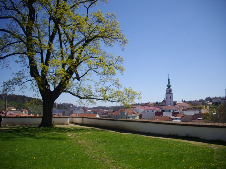 Třeb&iacute;č a pivovar Dale&scaron;ice